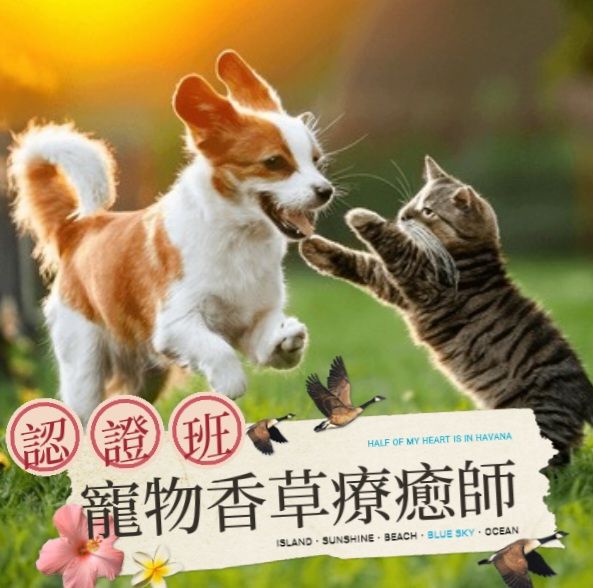 THIDA寵物香草療癒師