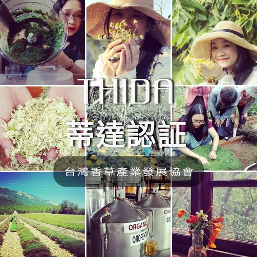 《THIDA 蒂達認證》與產業教育理念